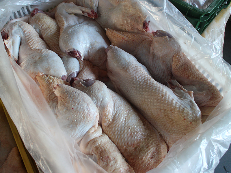 肇庆哪里有供应划算的瑞康食品番鸭，番鸭怎样养