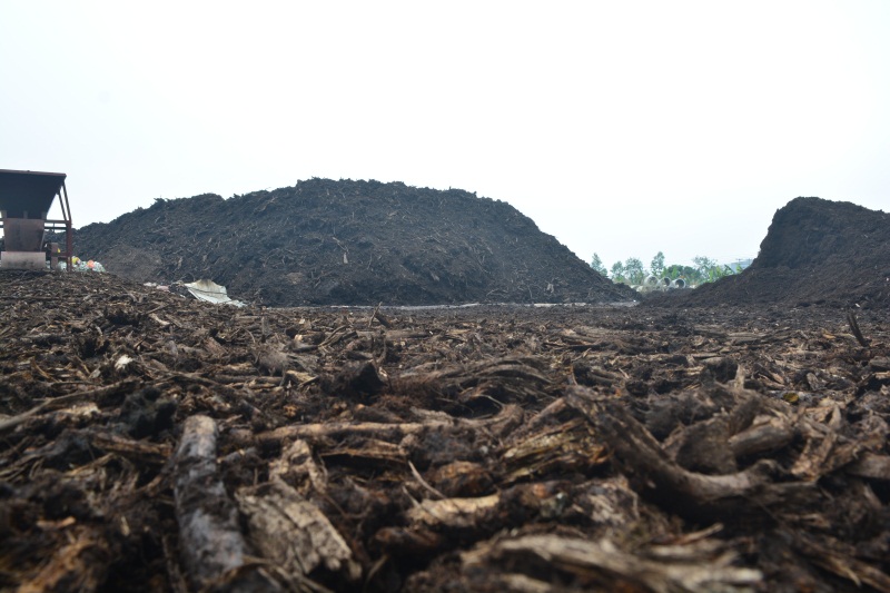 营养土专卖，哪里能买到实惠的有机覆盖物泥炭木屑