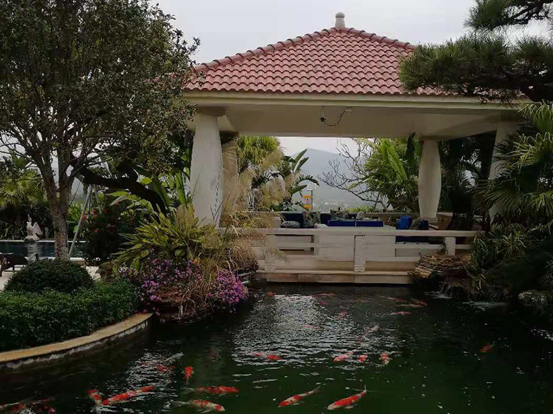 可靠的鱼池假山凉亭花架制造就在德承园林景观设计-锦鲤鱼池过滤器材