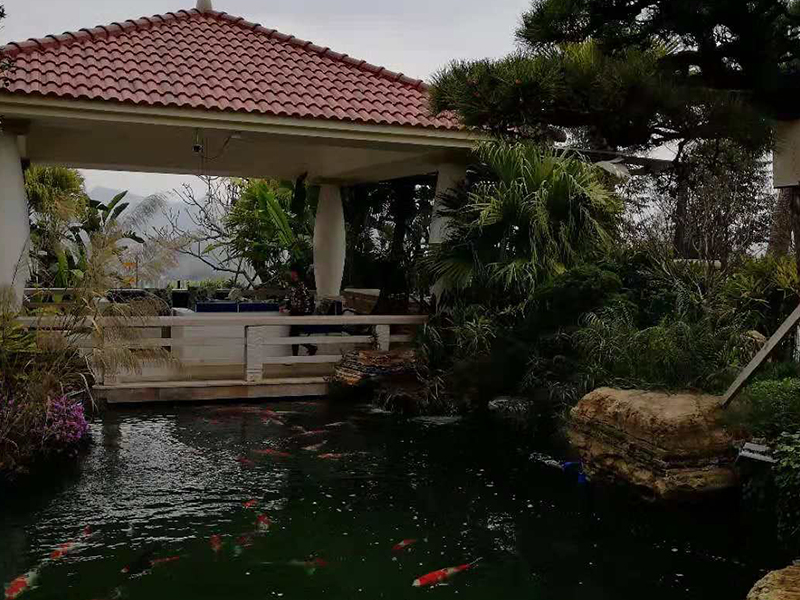 家庭鱼池过滤系统，专业的鱼池假山凉亭花架制造就在德承园林景观设计
