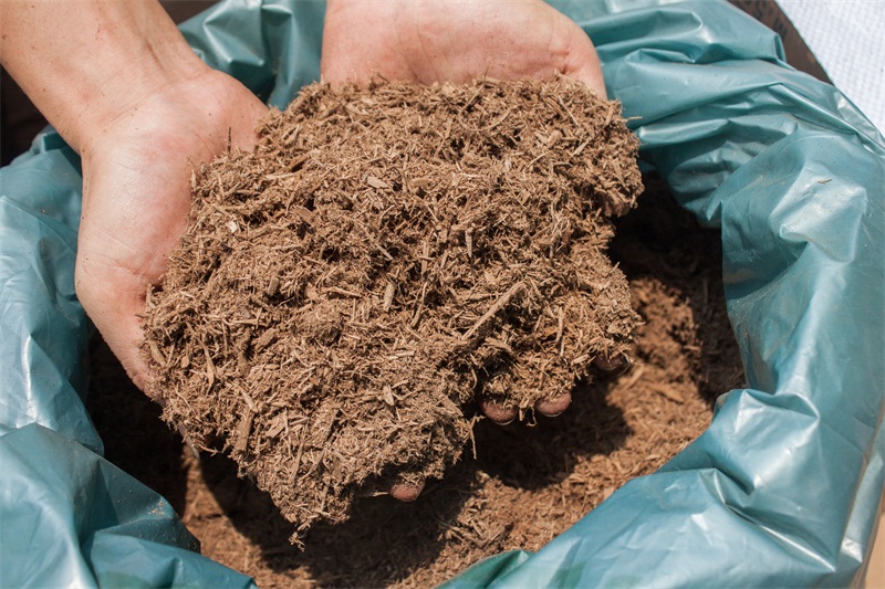 草炭土成分|供应肇庆质量好的有机覆盖物泥炭木屑